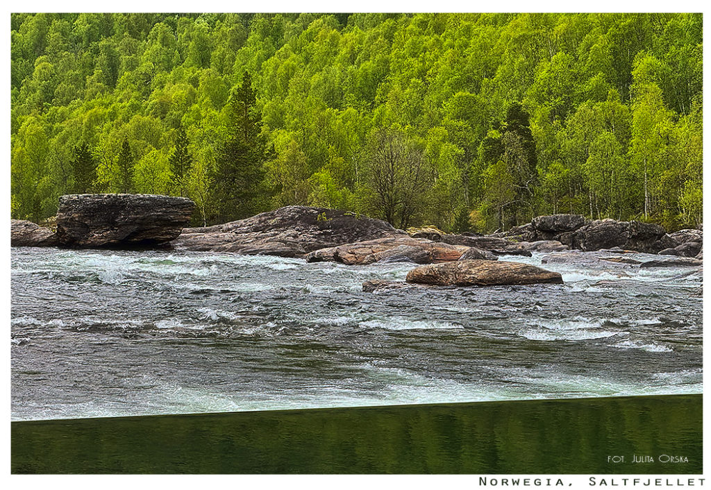 Norwegia, Saltfjellet